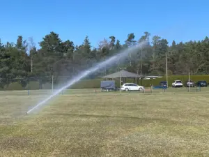 b5caa6b7-9640-4573-adcc-430161ed2139